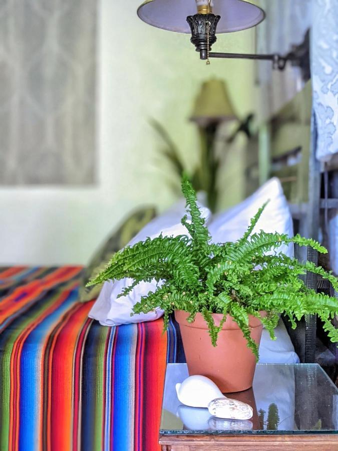 ويست باي Seaside Inn Roatan المظهر الخارجي الصورة