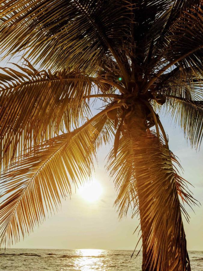ويست باي Seaside Inn Roatan المظهر الخارجي الصورة